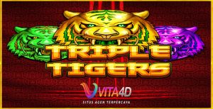 Panduan Memilih Agen Judi Terpercaya Slot Pulsa